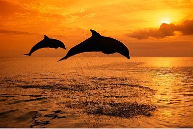 《Inkbound》登陆Steam 肉鸽元素回合制战略RPG