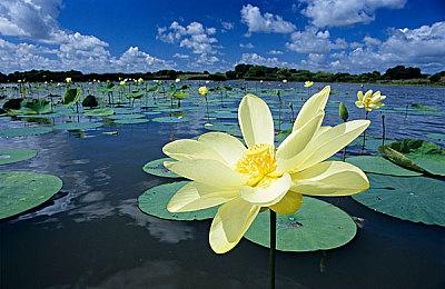 《英雄不再3》BOSS战新实机演示 8月27日发售